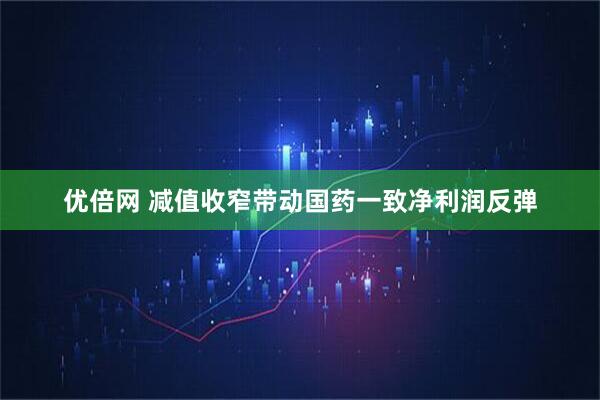 优倍网 减值收窄带动国药一致净利润反弹